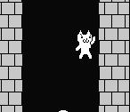 /images/catmario/catmariotas25.jpg